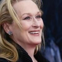 Photo Coverage: Wishes Come True! On the Red Carpet at the INTO THE WOODS NYC…