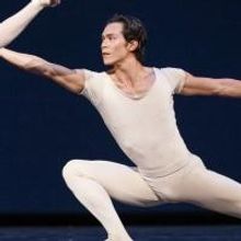 BWW Reviews: 'Physical Thinking' Soars And Inspires