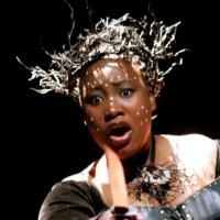 BWW Reviews: Mozart on Marimbas, Trumpet and Drums Make This South African FLUTE Magi Photo
