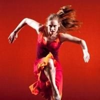 Benvenuti alla Presentazione del Progetto Artistico 2014-2015 per il Teatro…