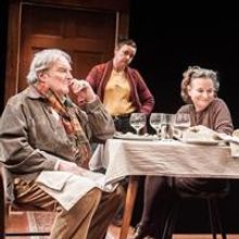 BWW Reviews: THE APPLE FAMILY PLAYS, An Intelligent Reflection of Art and Life