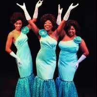 Photo Flash: Meet the Cast of Mad Cow Theatre's DREAMGIRLS