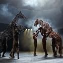 Photo Flash: First Look at New Cast in West End's WAR HORSE at the New London Theatre