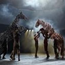 Photo Flash: First Look at New Cast in West End's WAR HORSE at the New London Theatre