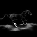 Kathryn Hunter Stars in Arcola Theatre's MARE RIDER, Now thru Feb 16