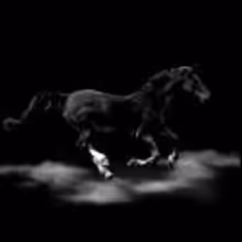 Kathryn Hunter Stars in Arcola Theatre's MARE RIDER, Now thru Feb 16