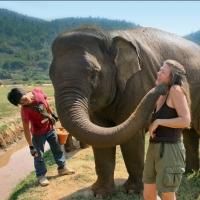 Wild Planet Adventures to Host Weird and Wonderful Wildlife Tours, Winter 2014 and…