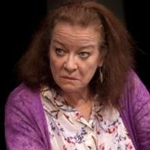 Photo Flash: Clare Higgins, Greg Hicks and More Lead CLARION, Opening Tonight