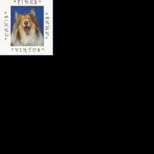 NEO Ensemble Theatre Presents SHAKESPEARE IN HOLLYWOOD