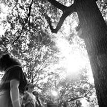 Phillstock Entertainment to Present Musical Re-Imagining of AS YOU LIKE IT at The Fle