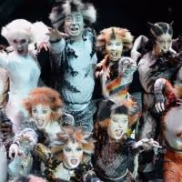 Photo Flash: The Jellicle Cats are Back! New Production Photos of West End Revival…