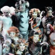 Photo Flash: The Jellicle Cats are Back! New Production Photos of West End Revival…