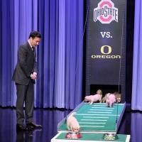 VIDEO: Puppies Predict the 2015 College Football Championship on TONIGHT Video