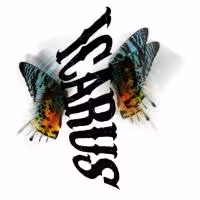 Liars & Believers Bring ICARUS to NYMF 2013, Now thru 7/28