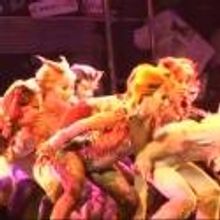 STAGE TUBE: Featured Interviews and Behind the Scenes of CATS at the Gateway in Bellp
