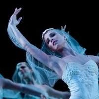 Houston Ballet to Perform LA BAYADERE in Canada, April 30-May 9