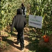 After a Record-Breaking Fall, Liberty Hall Museum Gears Up for Holiday Season