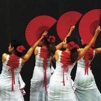 BWW Reviews: SESSIONS 2014: FLAMENCO ARETI Brings a Stylish Art Form to Adelaide…