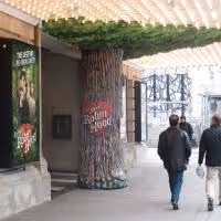 THE HEART OF ROBIN HOOD Announces Partnership with Forest Ontario