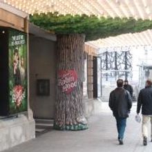 THE HEART OF ROBIN HOOD Announces Partnership with Forest Ontario