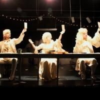 BWW Reviews: Surprising Trio of Plays at BERKSHIRE FRINGE FESTIVAL