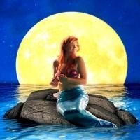 North Shore Music Theatre Presents New England Professional Premiere of THE LITTLE…