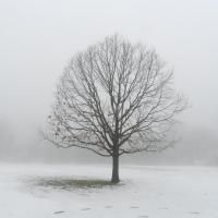 Mercer Co. Photographers Showcased in MCCC Exhibit, 11/19-12/18