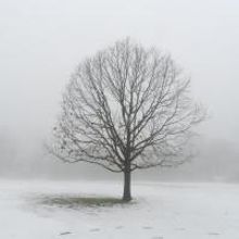 Mercer Co. Photographers Showcased in MCCC Exhibit, 11/19-12/18