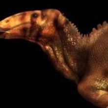 Nat Geo Channel to Premiere Special DINO AUTOPSY This Summer