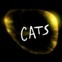 Verano 2013: CATS, todo un clásico, regresa a México.