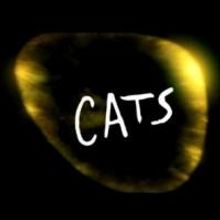 Verano 2013: CATS, todo un cl&aacute;sico, regresa a M&eacute;xico.