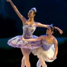 American Repertory Ballet to Present On Pointe Enrichment Series Event, 2/7