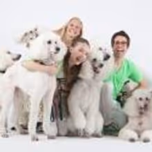 New York Theatre Ballet To Debut BARK! IN THE PARK, 02/05 & 02/23 - 02/24
