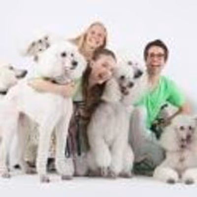 New York Theatre Ballet To Debut BARK! IN THE PARK, 02/05 & 02/23 - 02/24