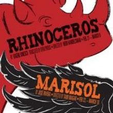 Brown/Trinity Rep M.F.A. Programs Present RHINOCEROS and MARISOL Next Month