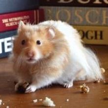 BWW Interviews: Kim Tobin, John Gremillion, and Kay Allmand Talk Stark Naked Theatre'