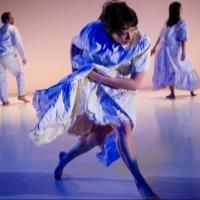 NEW YORK LIVE ARTS Welcomes Donna Uchizono Company, Now thru 12/7