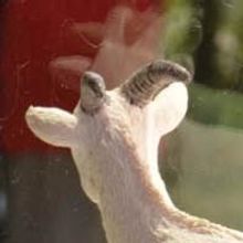 BWW Reviews: SET Explores Comedy, Tragedy, and Taboo with THE GOAT OR, WHO IS SYLVIA?