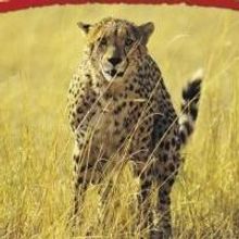 ET African Journeys to Offer Celebrate South AfricaTrips During Black History Month