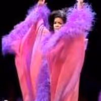 STAGE TUBE: First Look at DREAMGIRLS at the Marriott Theatre Video
