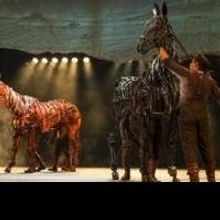 BWW Reviews: A Tale of Friendship, Love, War Gallops to the Stage in Tour of WAR HORS