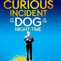 Broadway's THE CURIOUS INCIDENT OF THE DOG IN THE NIGHT-TIME Begins Rehearsals Today