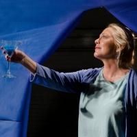 Photo Flash: Concrete Temple Theatre's 'THE BELLAGIO FOUNTAIN' Begins Tonight