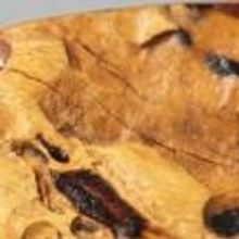 WOODPALOOZA Comes to WICA, 9/1-3