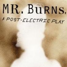 Playwrights Horizons Announces Special Sunday Ticket Initiative for MR. BURNS