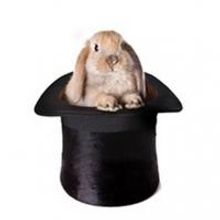 Barrington Stage Company to Present Staged Reading of PRESTO CHANGE-O, 7/27-28; Marc 