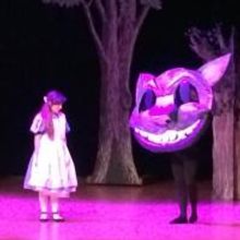 BWW Reviews: Effort and Love in ALICE IN WONDERLAND
