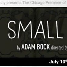 Melissa Riemer, James Allen and Julia Siple Cast in Steep Theatre's A SMALL FIRE…