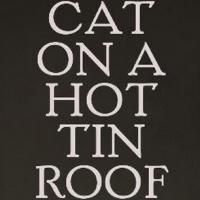 CAT ON A HOT TIN ROOF Stars Benjamin Walker and Ciaran Hinds to Appear on the Leonard Lopate Show Tomorrow