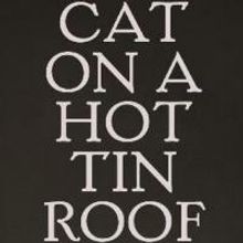 CAT ON A HOT TIN ROOF Stars Benjamin Walker and Ciaran Hinds to Appear on the…